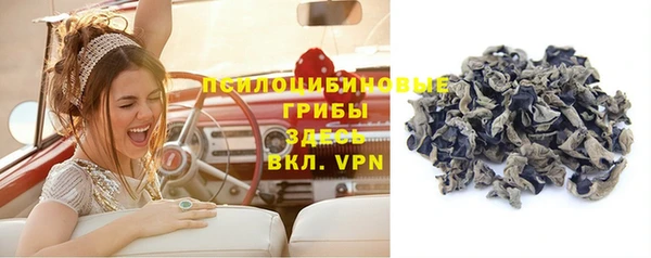 первитин Заводоуковск