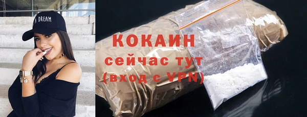 первитин Заводоуковск