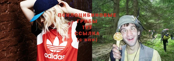 скорость Заволжье
