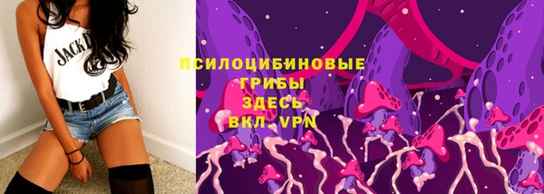 первитин Заводоуковск